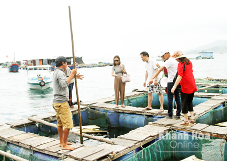 Du khách mua hải sản trên bè du lịch ở Vũng Ngán