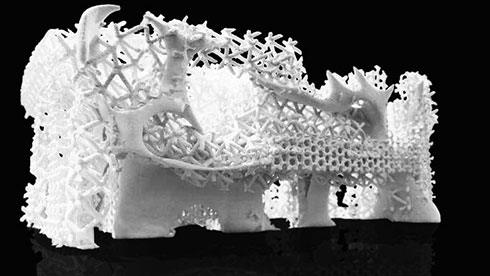  Các rạn san hô nhân tạo có thể được thiết kế với cấu trúc rất đa dạng nhờ công nghệ in 3D