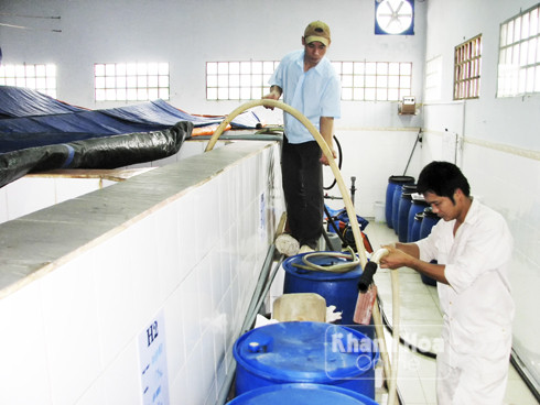 Một cơ sở sản xuất nước mắm tại TP. Nha Trang
