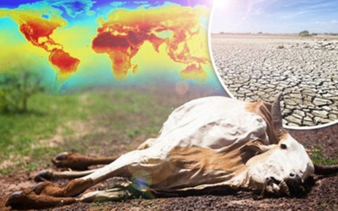 Sự nóng lên của trái đất đang là một vấn nạn toàn cầu. (Ảnh: AP)