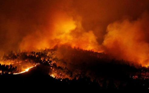 Cháy rừng ở Bồ Đào Nha. Ảnh: Reuters.