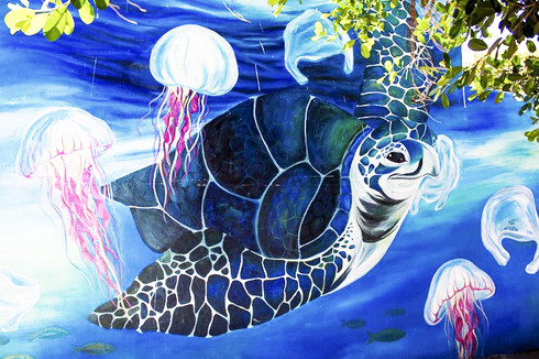 Rùa biển là đề tài chủ đạo trong các bức tranh tường ở đảo Bé