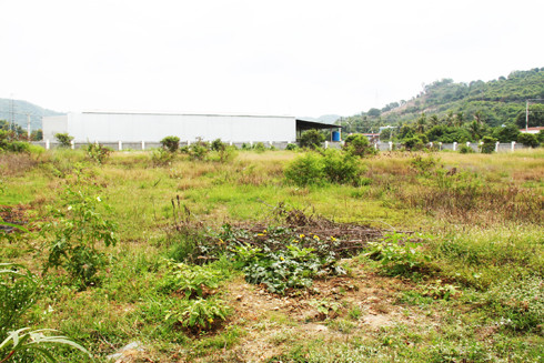 Một số diện tích đất trong Cụm công nghiệp Diên Phú còn bỏ trống