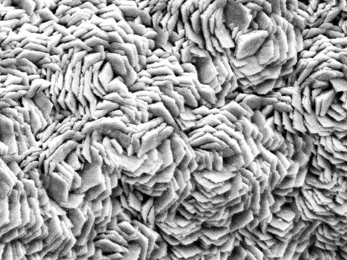  Hình ảnh kính hiển vi điện tử cho thấy bọt niken tráng graphene và sau đó là bề mặt xúc tác của sắt, mangan và phốtpho