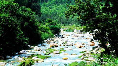 Natural beauty of Da Giang Stream 