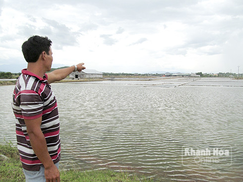 Ruộng muối tại Ninh Hòa nước ngập trắng xóa