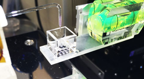 Hình ảnh chiếc máy in mô 3D do Trường Y học Cellular chế tạo 