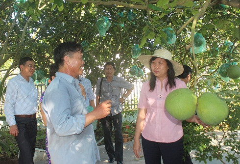 Đoàn giám sát khảo sát tại gia đình ông Nguyễn Văn Phúc (xã Vĩnh Phương).