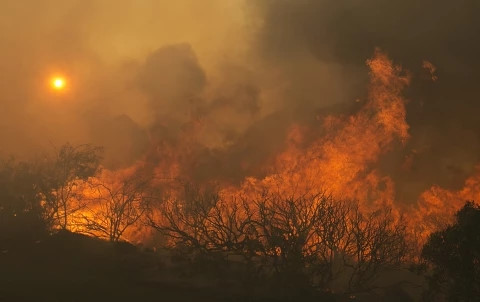 Đám cháy lan rộng tại nhiều bang ở California. Ảnh: Reuters