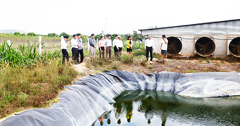 Đoàn đại biểu HĐND tỉnh giám sát về môi trường tại một trại chăn nuôi heo ở huyện Cam Lâm