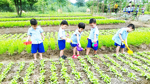 Pupils visiting organic vegetable growing model by Sala Vietnam Co. Ltd. in Nha Trang