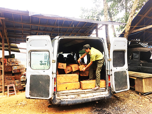 Xe ô tô khách vận chuyển lâm sản trái phép bị Đội Kiểm tra liên ngành chống phá rừng tỉnh phát hiện, xử lý