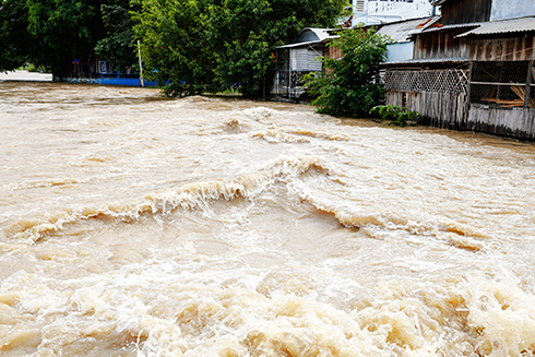 Ngày 1-11, dòng nước hung hãn trên sông Dinh, đoạn qua xã Ninh Phụng (thị xã Ninh Hòa) uy hiếp trực tiếp  đến các hộ dân