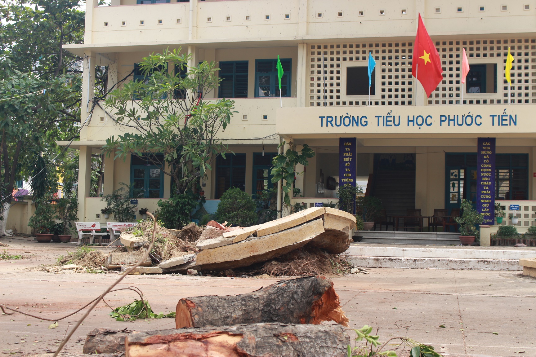 Trường Tiểu học Phước Tiến (Nha Trang) sau bão.