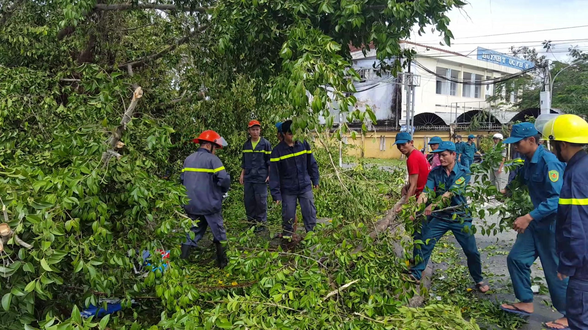 Dân quân tự vệ và các lực lương khác dọn dẹp cây xanh bị ngã đổ