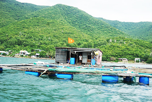 Bè nuôi trồng thủy sản trên vịnh Nha Trang trước bão
