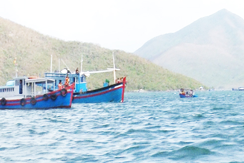 Lực lượng Bộ đội Biên phòng tỉnh kiểm tra các tàu cá trên vịnh Vân Phong