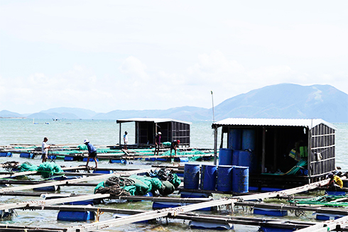 zzNgười nuôi trồng thủy sản mong được UBND tỉnh xem xét chính sách hỗ trợ để có thêm điều kiện tái đầu tư