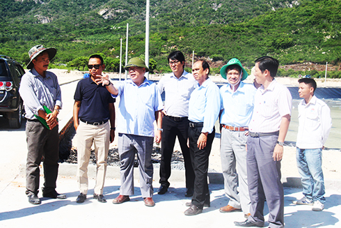 Lãnh đạo tỉnh kiểm tra cơ sở hạ tầng vùng sản xuất và kiểm định tôm giống tập trung Ninh Vân. Ảnh: BKH