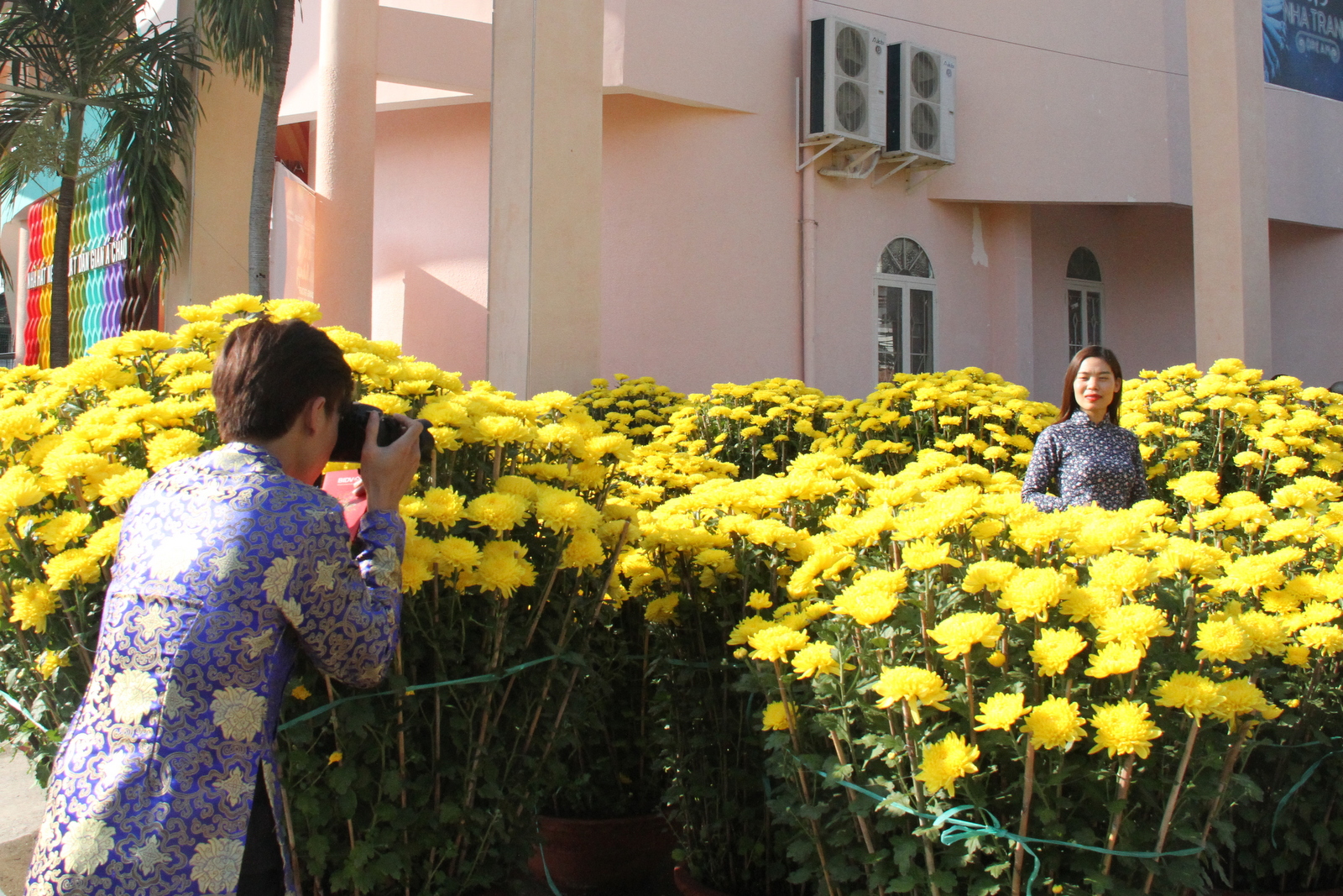 Nhiều người tranh thủ chụp ảnh với hoa xuân