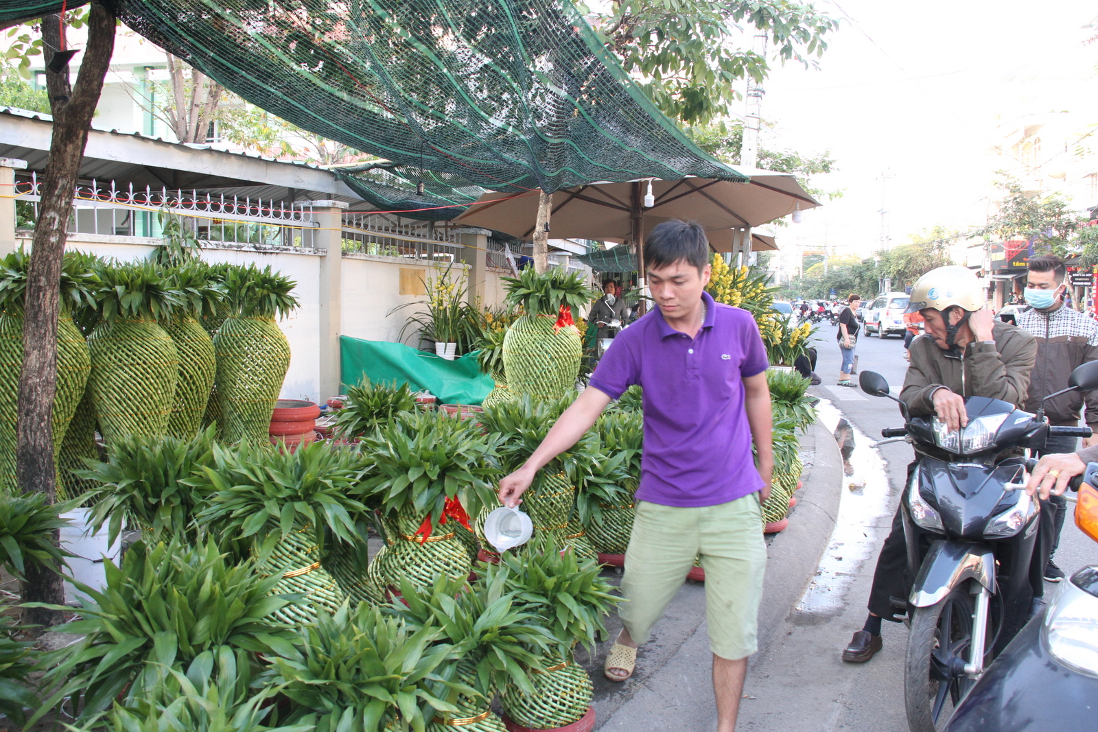 Lục bình làm bằng cây phát lộc lần đầu tiên xuất hiện ở Nha Trang
