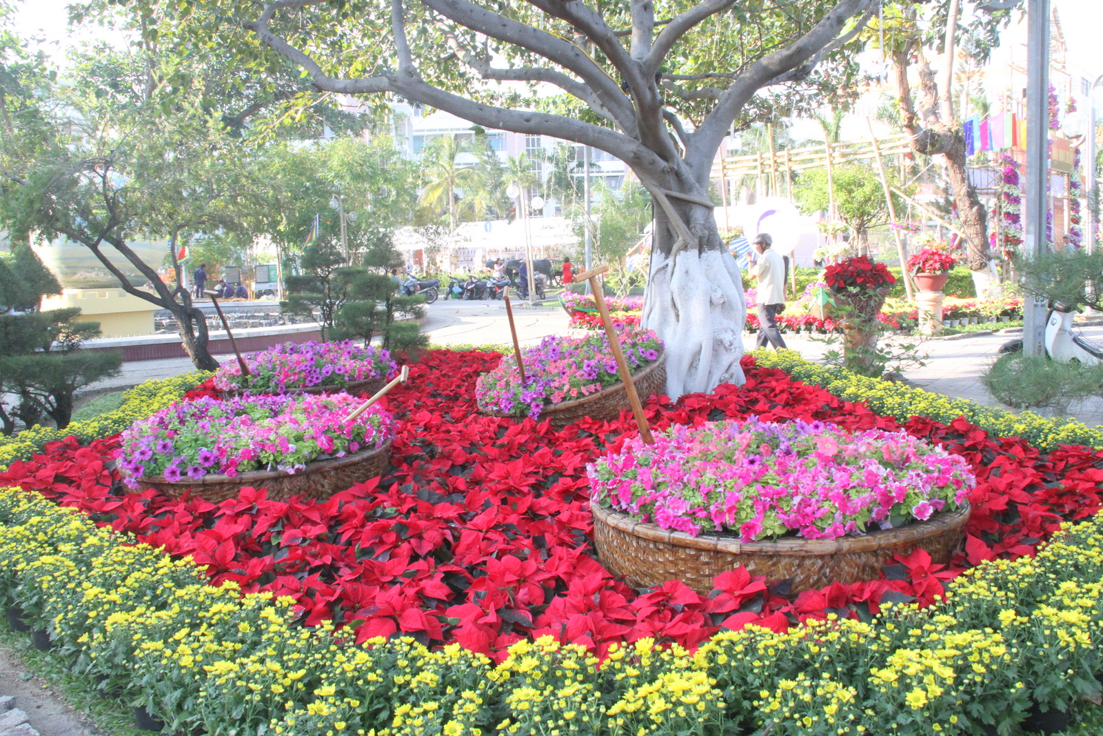 Sắc hoa rực rỡ tại công viên Yến Phi, Nha Trang