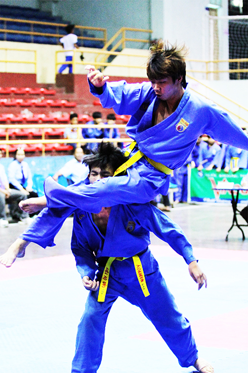 Thể thao thành tích cao: Ước vọng năm mới