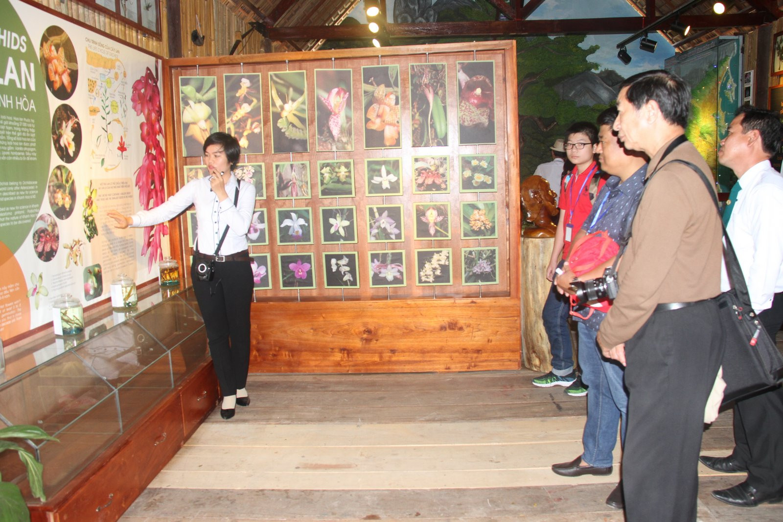 Nhân viên khu du lịch đảo Hoa Lan giới thiệu về một số loài thực vật đặc hữu của Khánh Hòa