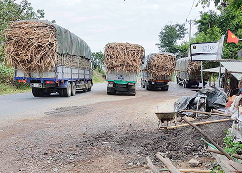 Lại chuyện xe chở mía quá tải