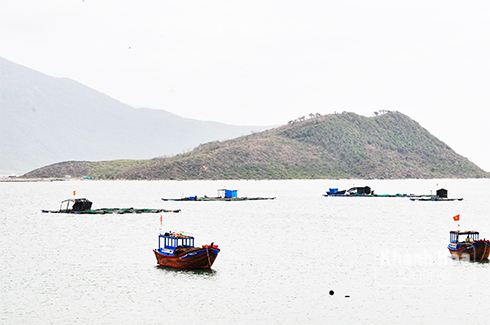 Phá rừng, chiếm đất tại Vân Phong