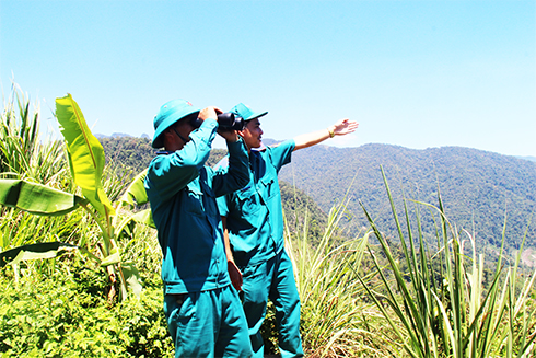 Nhân viên quản lý bảo vệ rừng Công ty TNHH một thành viên  Lâm sản Khánh Hòa trực quan sát điểm cháy.