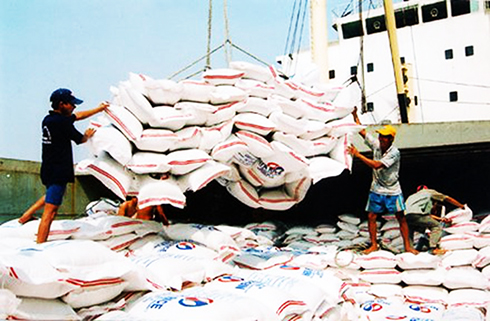 Xuất khẩu gạo tiếp tục đà tăng trưởng