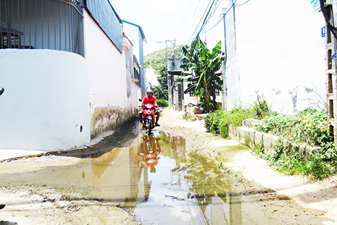 Tuy trời nắng nhưng một con hẻm ở khu vực đường Đặng Lộ vẫn đầy nước.