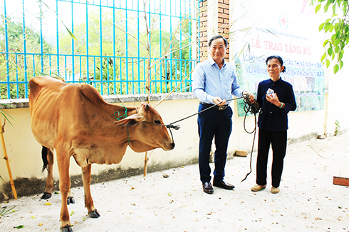 Đồng chí Nguyễn Đắc Tài trao bò giống cho người dân.