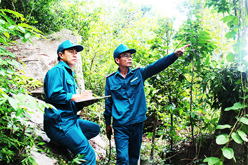 Nhân viên Ban quản lý rừng phòng hộ Vạn Ninh  kiểm tra rừng giáp ranh với tỉnh Phú Yên.