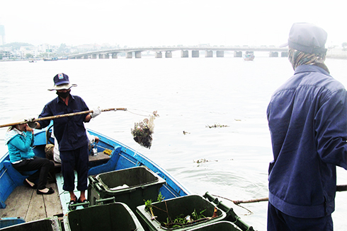 Thu gom rác trên sông tại khu vực Hà Ra, TP. Nha Trang.