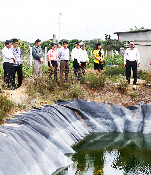  Đoàn giám sát HĐND tỉnh kiểm tra công tác đảm bảo vệ sinh môi trường tại một cơ sở chăn nuôi heo ở Cam Lâm.