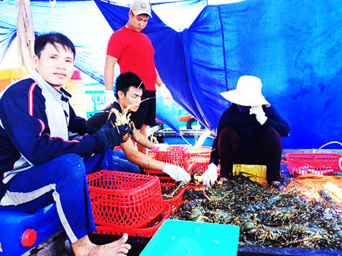 Làm giàu nhờ nuôi tôm