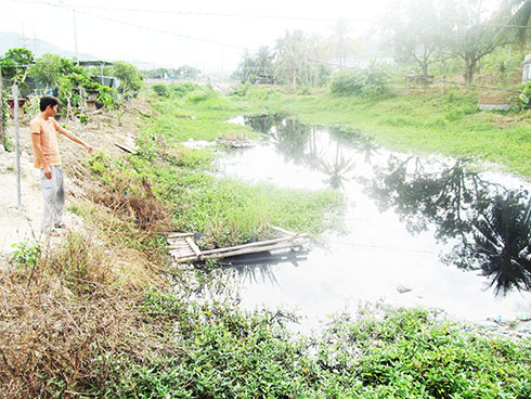 Bàu Dinh chưa hết ô nhiễm