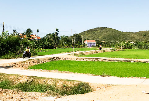 Con đường của lòng dân