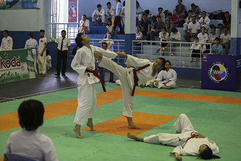 Hơn 200 võ sinh tham gia tranh tài