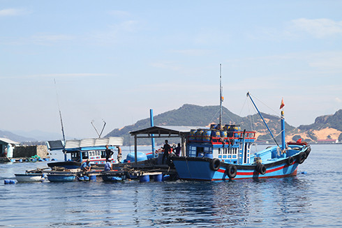 Khu neo đậu tàu thuyền an toàn ở Bình Ba (xã Cam Bình)