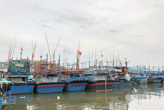 Tàu cá neo đậu tại cảng Hòn Rớ, Phước Đồng vào ngày 26-10 (ảnh K.N)
