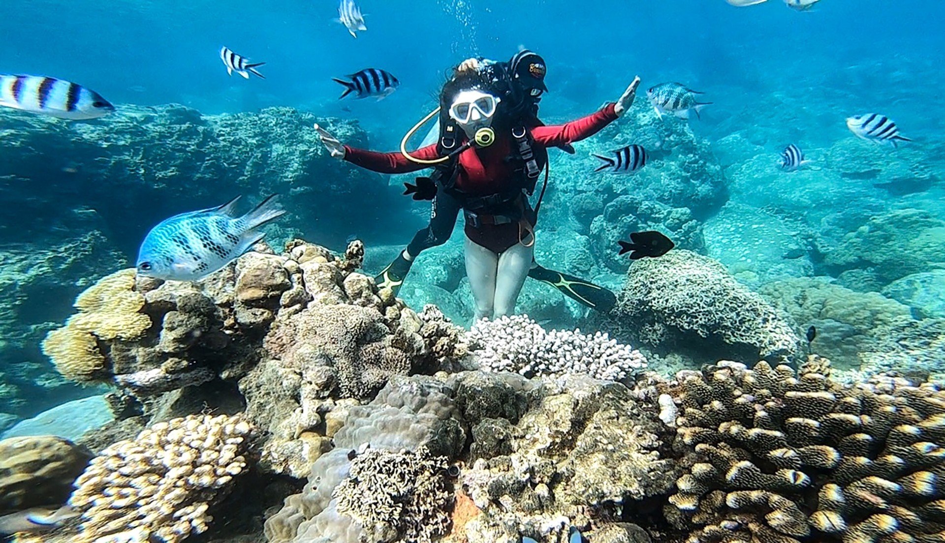 Lặn ngắm san hô tại Hòn Mun