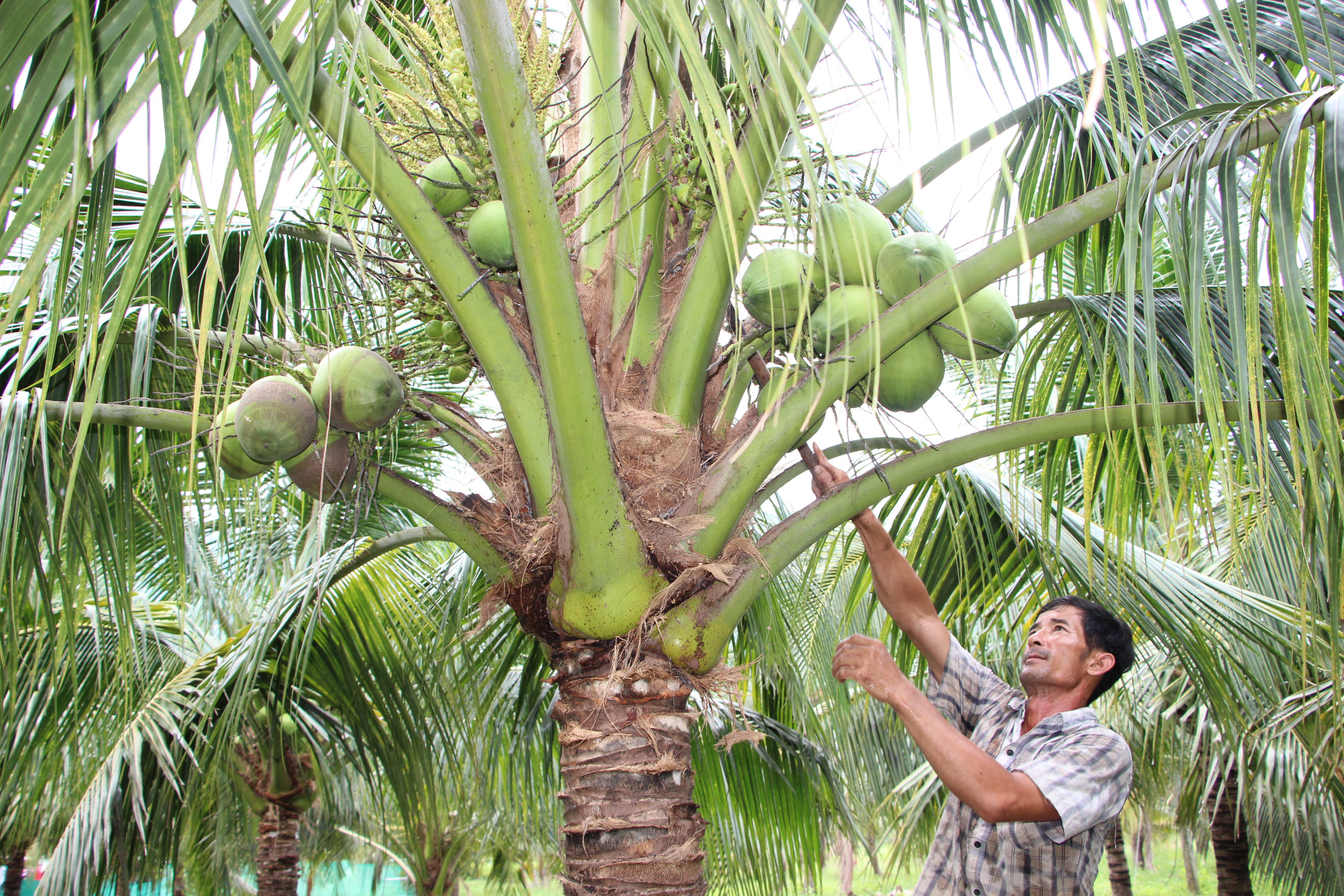 Xã Xuân Sơn: Sôi nổi phong trào thi đua yêu nước