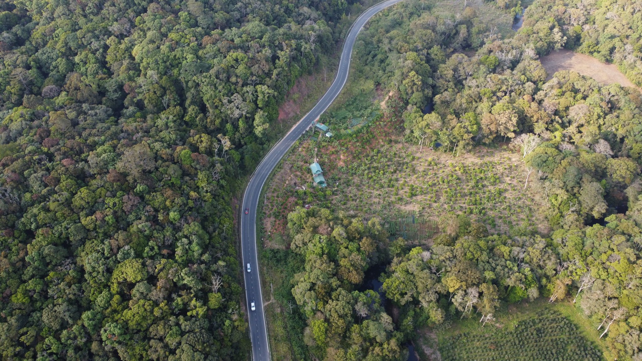 Cần nỗ lực gia tăng tỷ lệ che phủ rừng