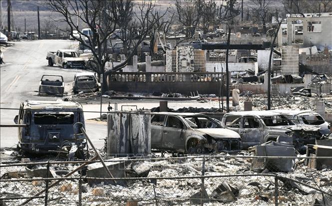 'Báo động đỏ' từ thiên nhiên