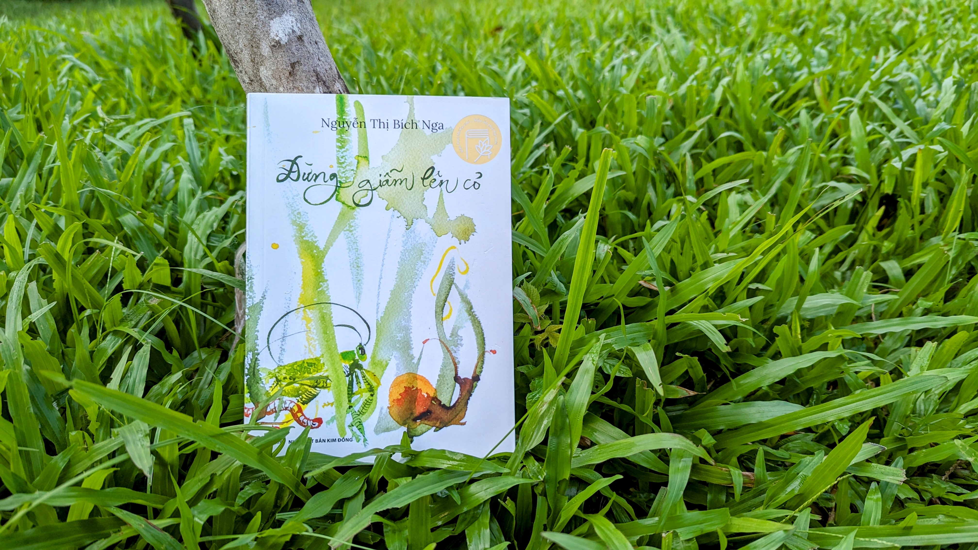 Hãy để yên cho cỏ ngủ!