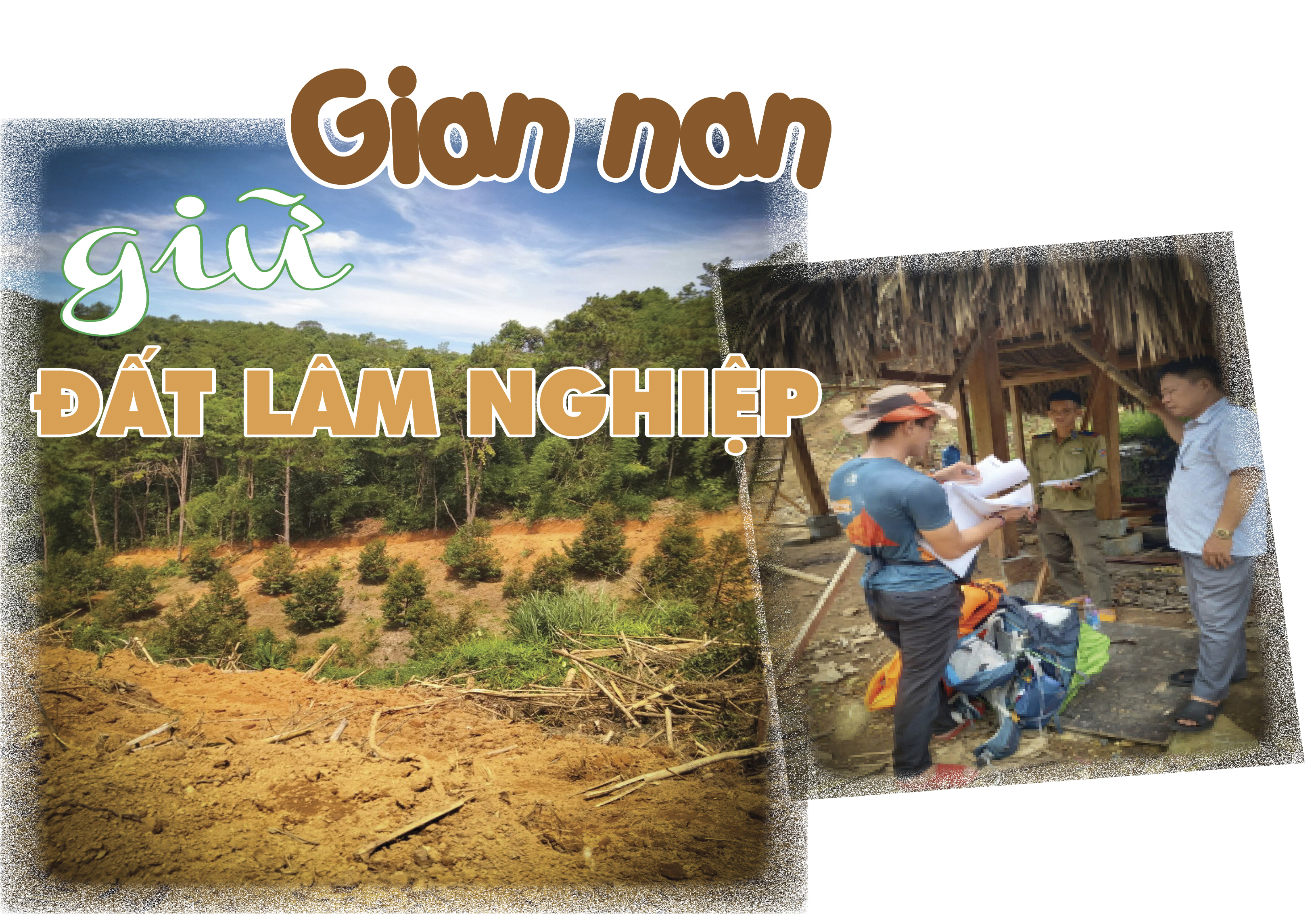 E-magazine: Gian nan giữ đất lâm nghiệp