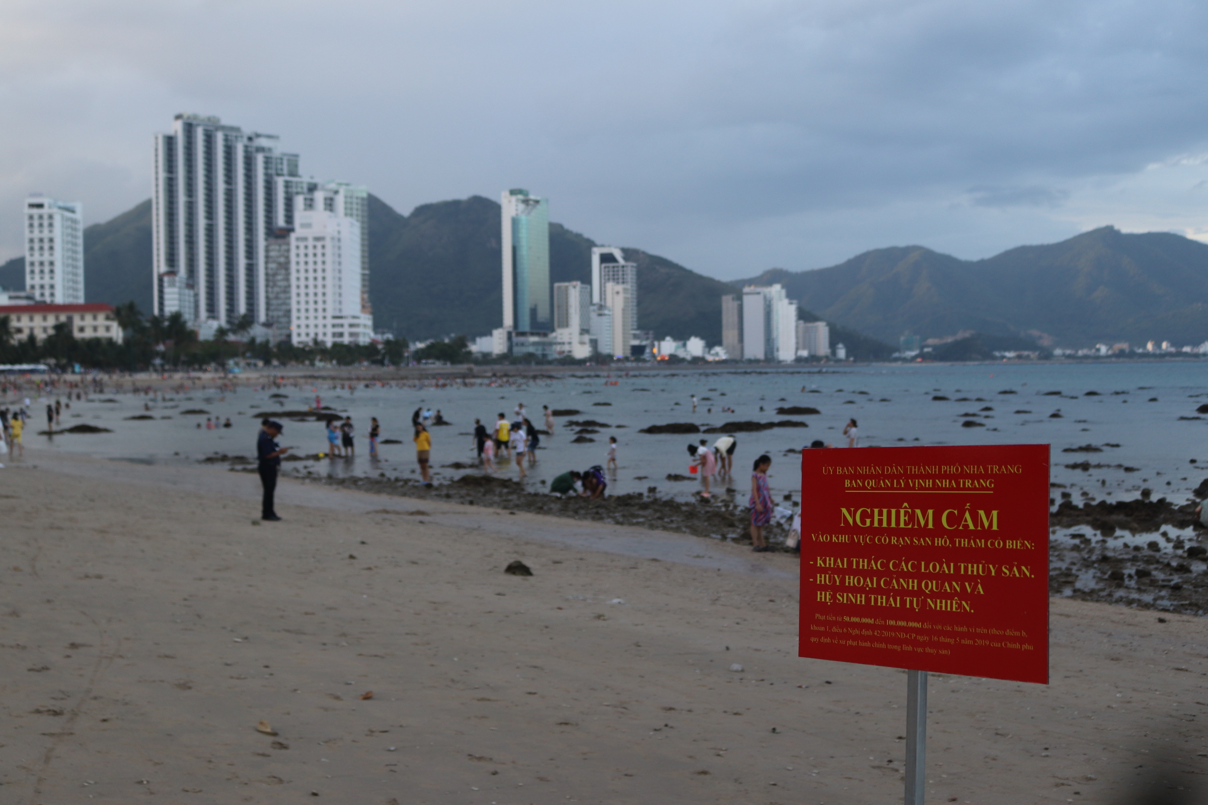 Bảo vệ rạn san hô khu vực biển Hòn Chồng - Đặng Tất: Cần những giải pháp hiệu quả hơn